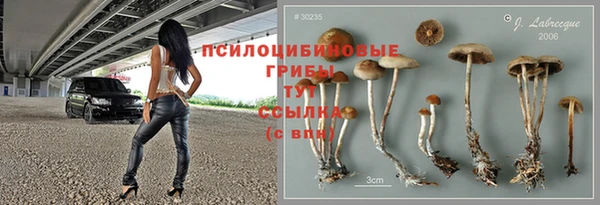 mix Алексин